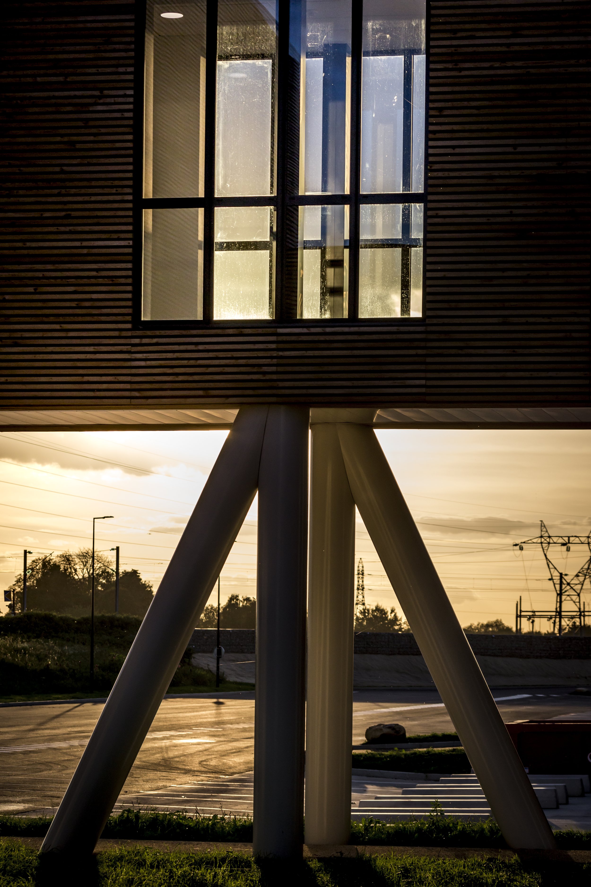 MateyaLux_846A1540.jpg