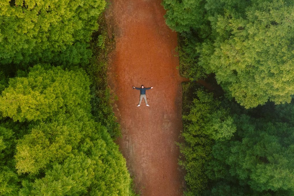 dronewview zoom.jpg