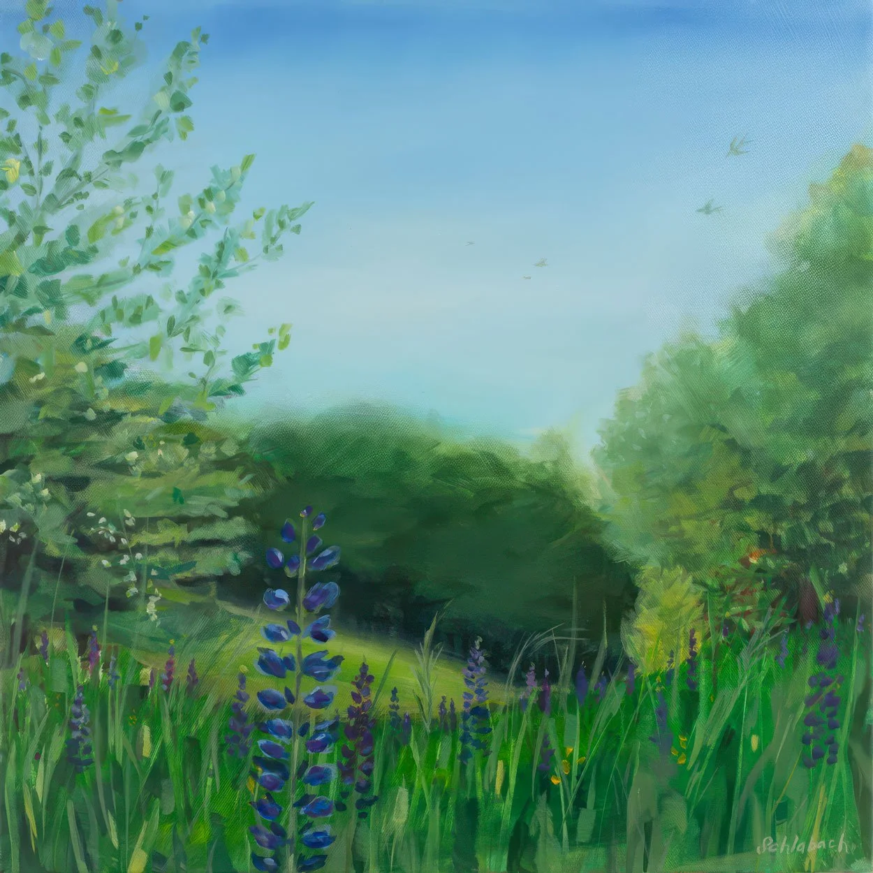 Charlotte's Lupines 20x20 $1100