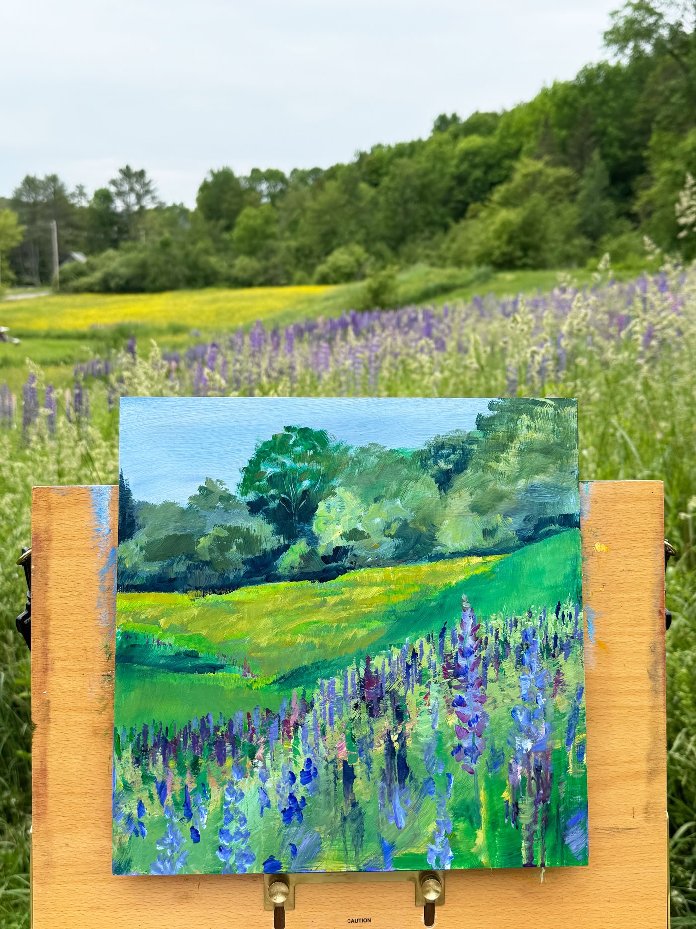 Plein-air-lupine-2025.jpg