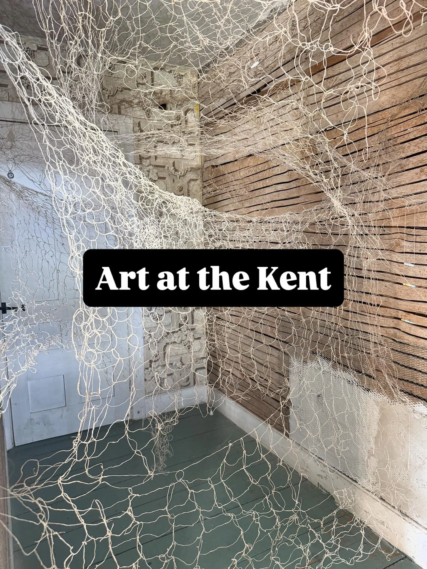 More moments from Holding at Art at the Kent. What a web of mystery, wonder and beauty. Go see it!
1. and 11. Veronica Y Pham @veronicaypham 
2. Room detail
3. Graziella Weber-Grassi @graziellaweber 
4. And 10. Bonnie Baird @bonniebairdart 
5. Ryan s