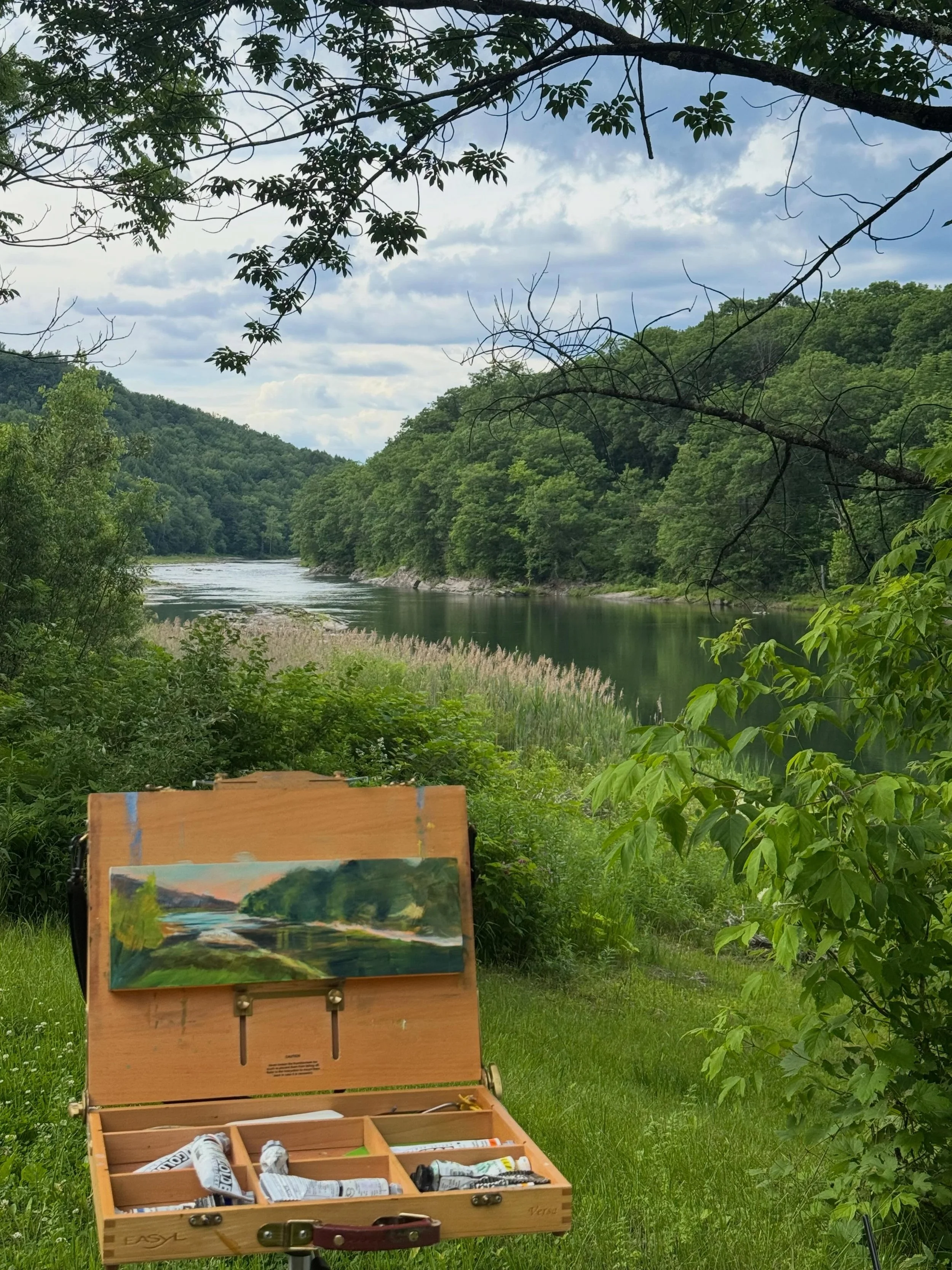 A river, a little sun, a summer evening spent painting between thunderstorms. This is the stuff I dream about in February. I found a little sanctuary of bliss to start this commission for folks who have this splendid view along the White River. 

Wan