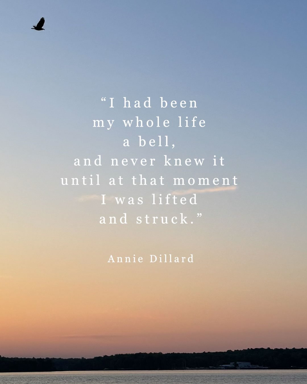 Is the world emptying of all our north stars????

News of Annie Dillard&rsquo;s death arrives as I recover from a car accident Monday. I already feel emptied out from the way my body is so sore and tired and just needs rest. No better company than my