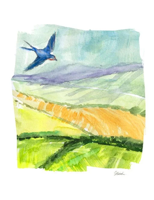 Soaring-Over-Blue-School-Road-A2-card-Sue-Schlabach.jpg