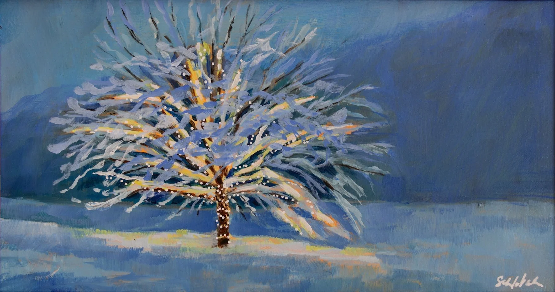 Night Lights 10x4 NFS