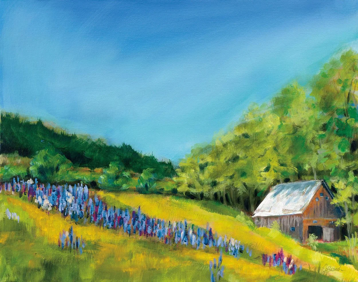 Field of Lupine 20x16 NFS