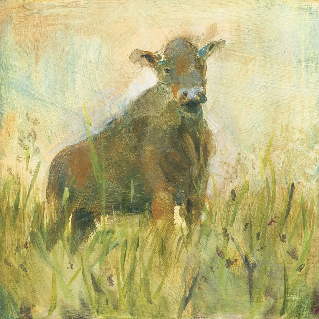 The Grazer 8x8 SOLD