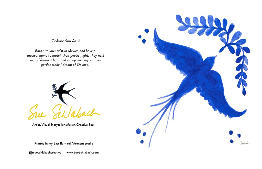 Golondrina Azul-A2 card-Sue Schlabach.jpg