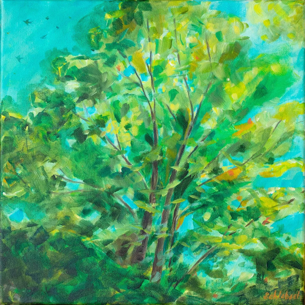 Treetop Flight 12x12 $450