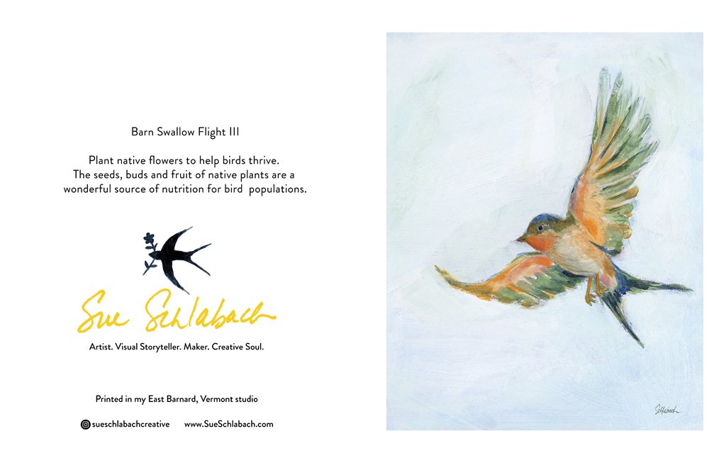 Barn Swallow Flight III-A2 card-Sue Schlabach.jpg