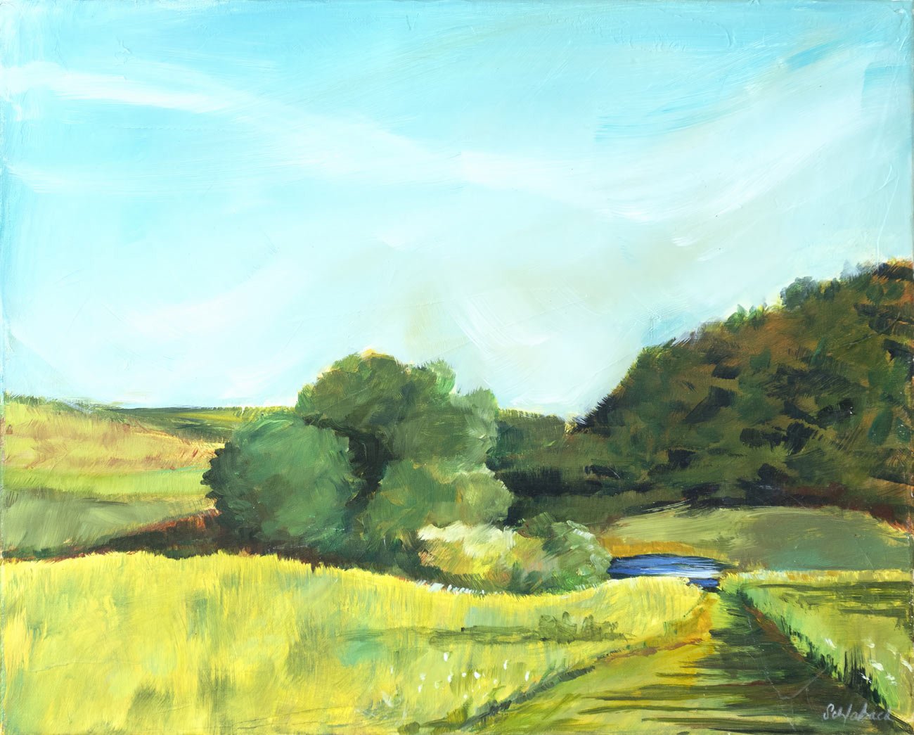 View from Rock Hill 20x16 SOLD