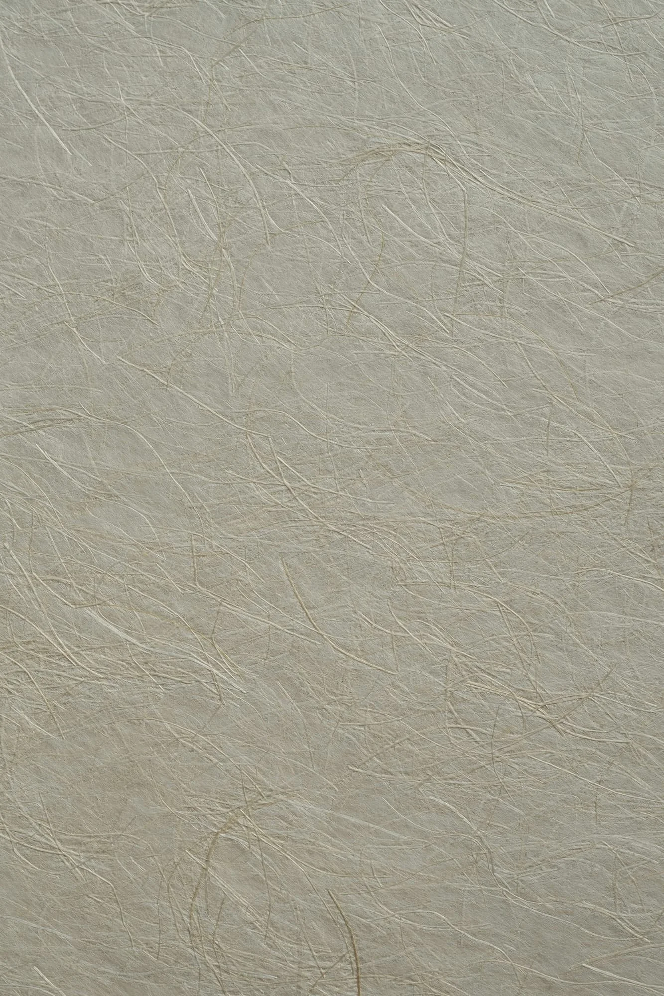 紙の表面に細い繊維が入り込んだテクスチャーのアップ画像