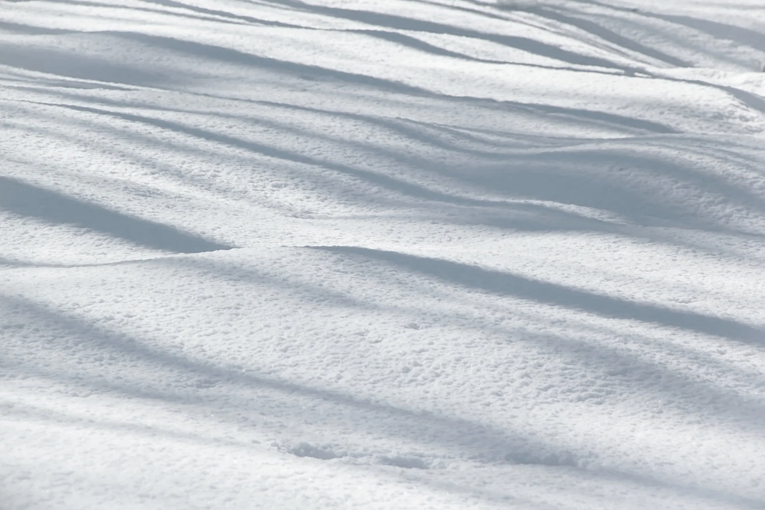雪の表面にできた斜めの影と痕跡
