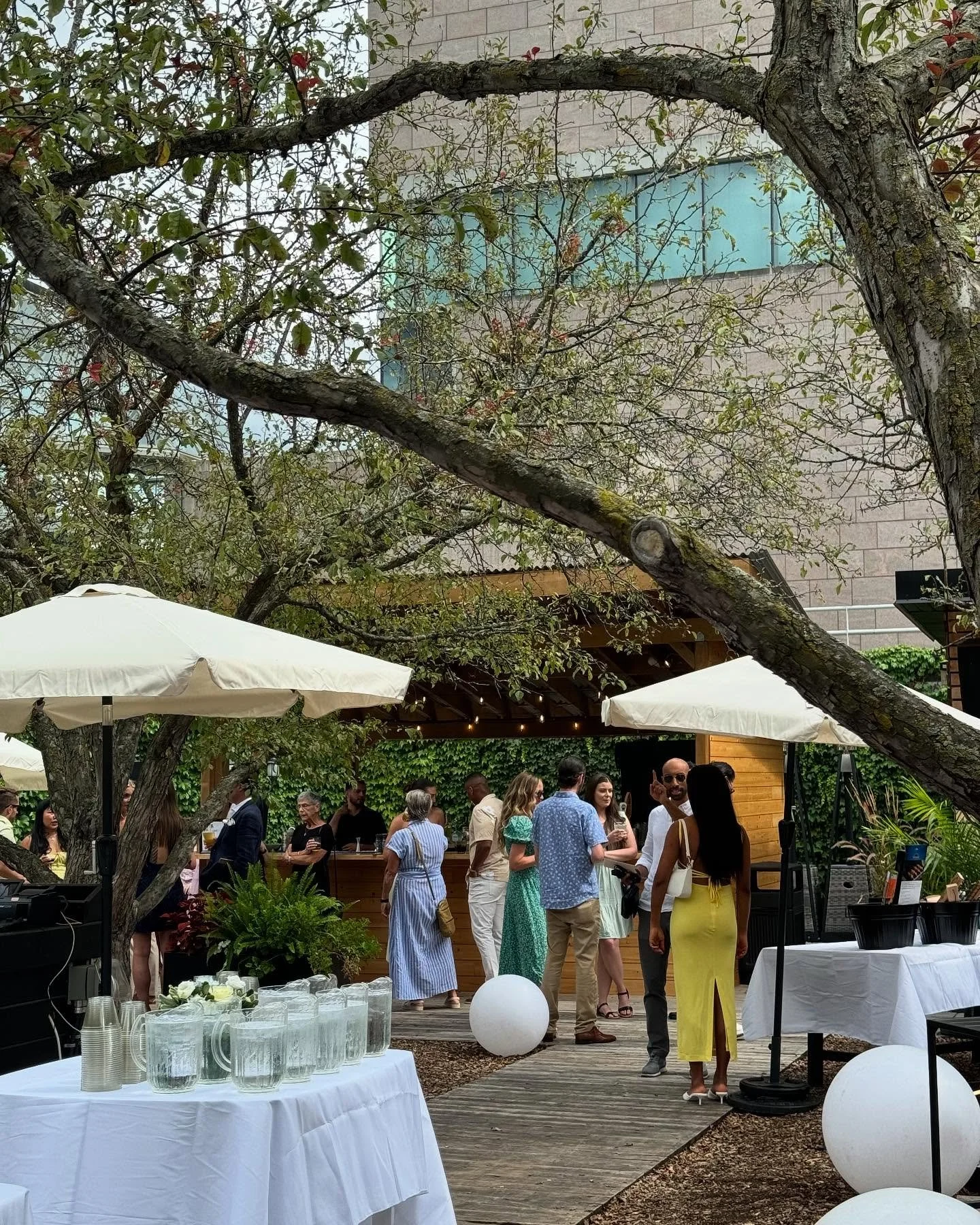 People socializing at an outdoor gathering under umbrellas, with a bar and greenery, during the daytime.