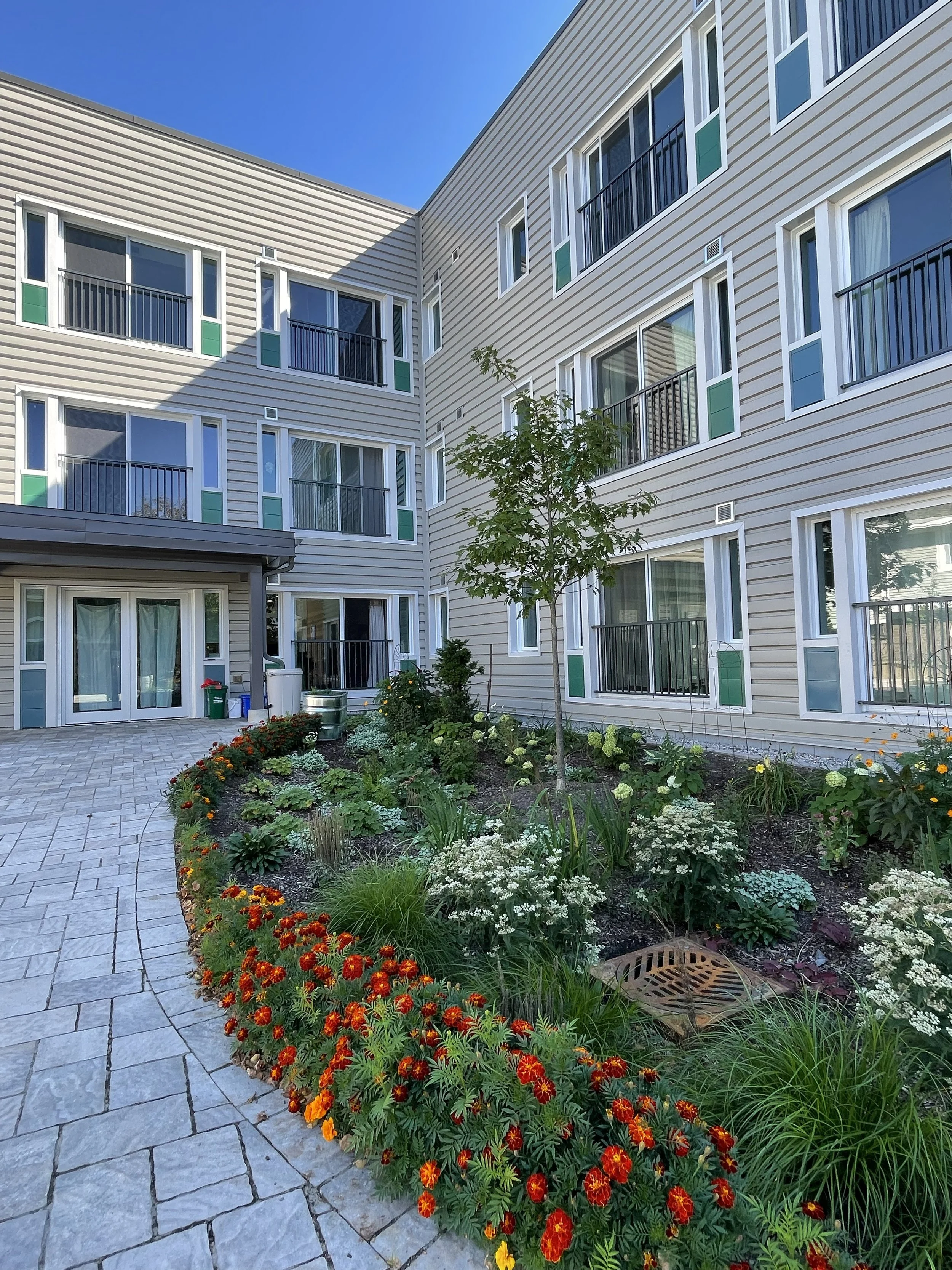 Courtyard garden with colorful flowers and small tree, surrounded by beige multi-story residential building with balconies and windows, under a clear blue sky.