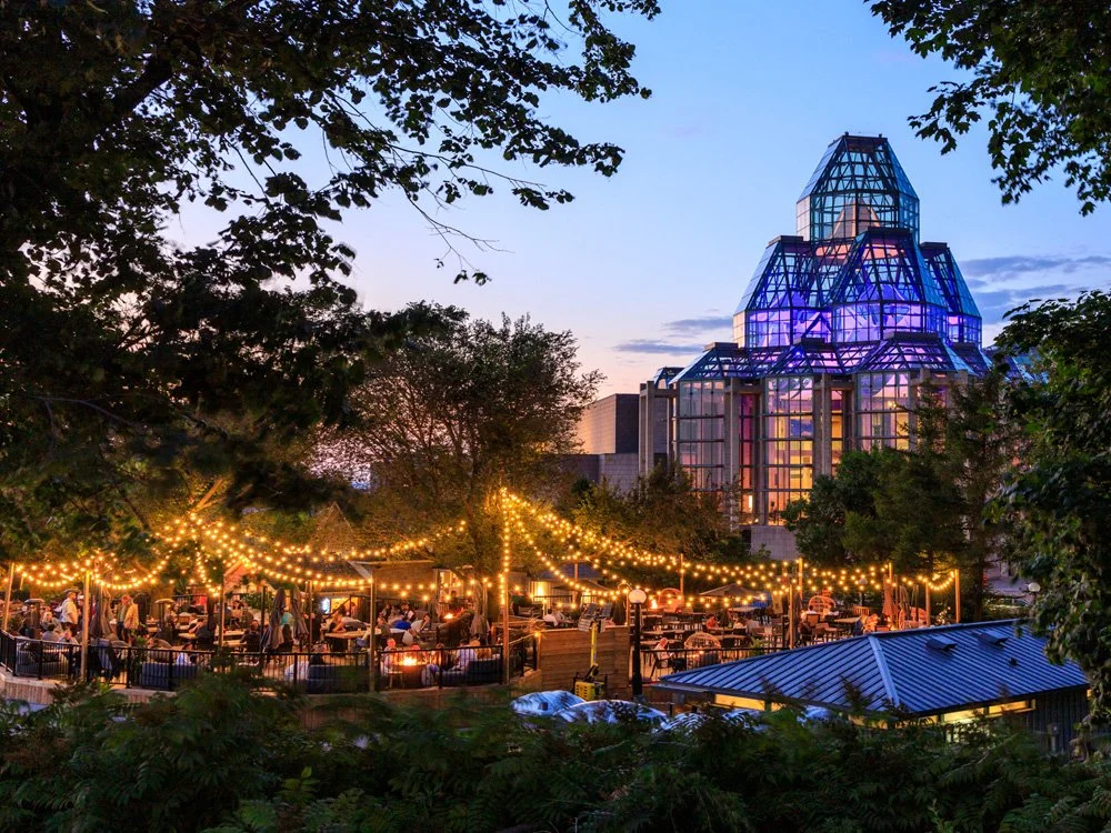 An outdoor gathering with string lights, trees, and people dining at tables, with a modern glass building illuminated with purple lights in the background during dusk.