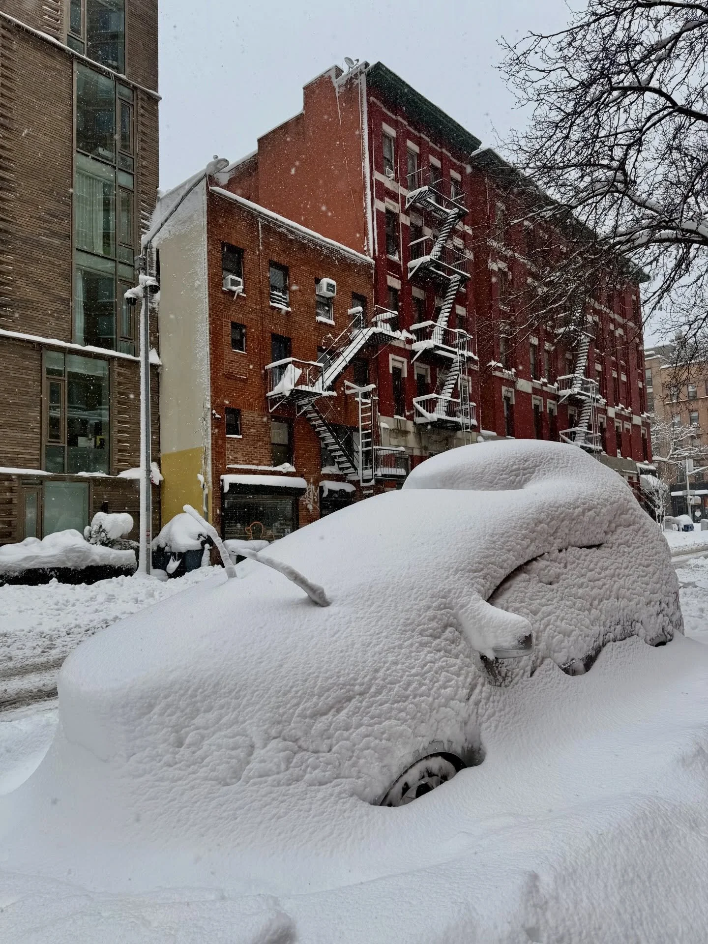 NYC just 2 weeks ago.