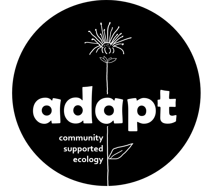 A black and white graphic design featuring a flower and a leaf. The word 'adapt' is prominently displayed in large bold letters, with smaller text underneath reading 'community supported ecology.'