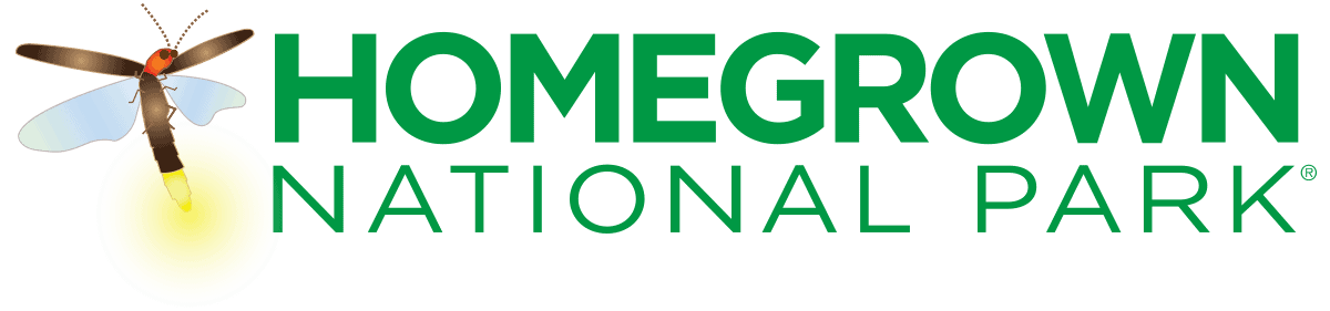 Native plant landscaper Homegrown National Park Grand Rapids Michigan. How to remove my lawn and replace with native plants. Native plant ground cover landscaping.