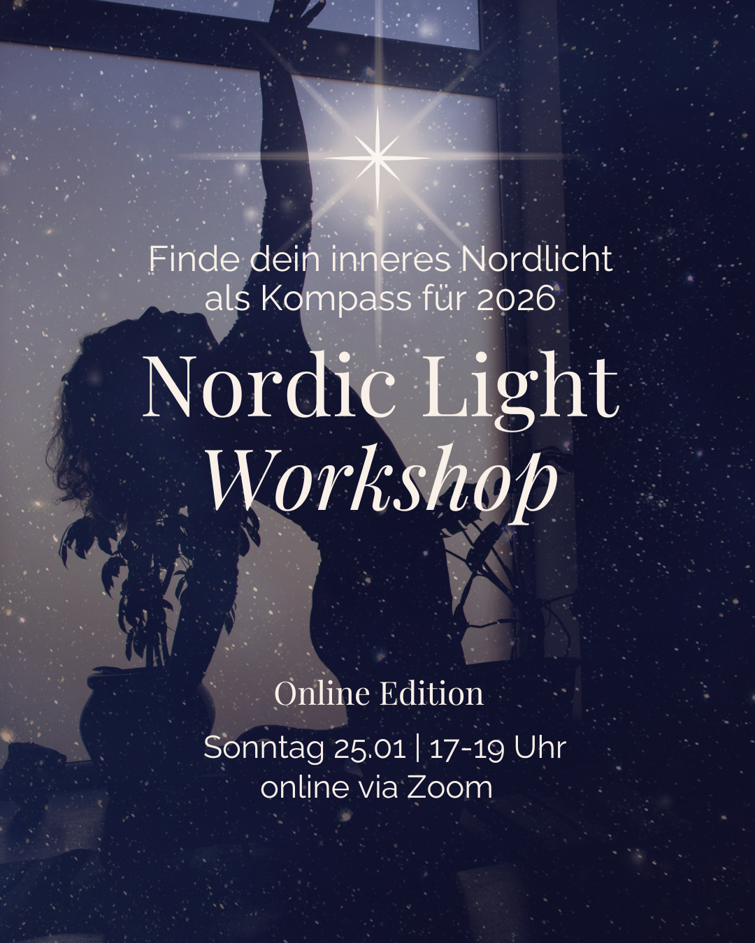 Nordic Light Workshop 25.01.png (Kopie)