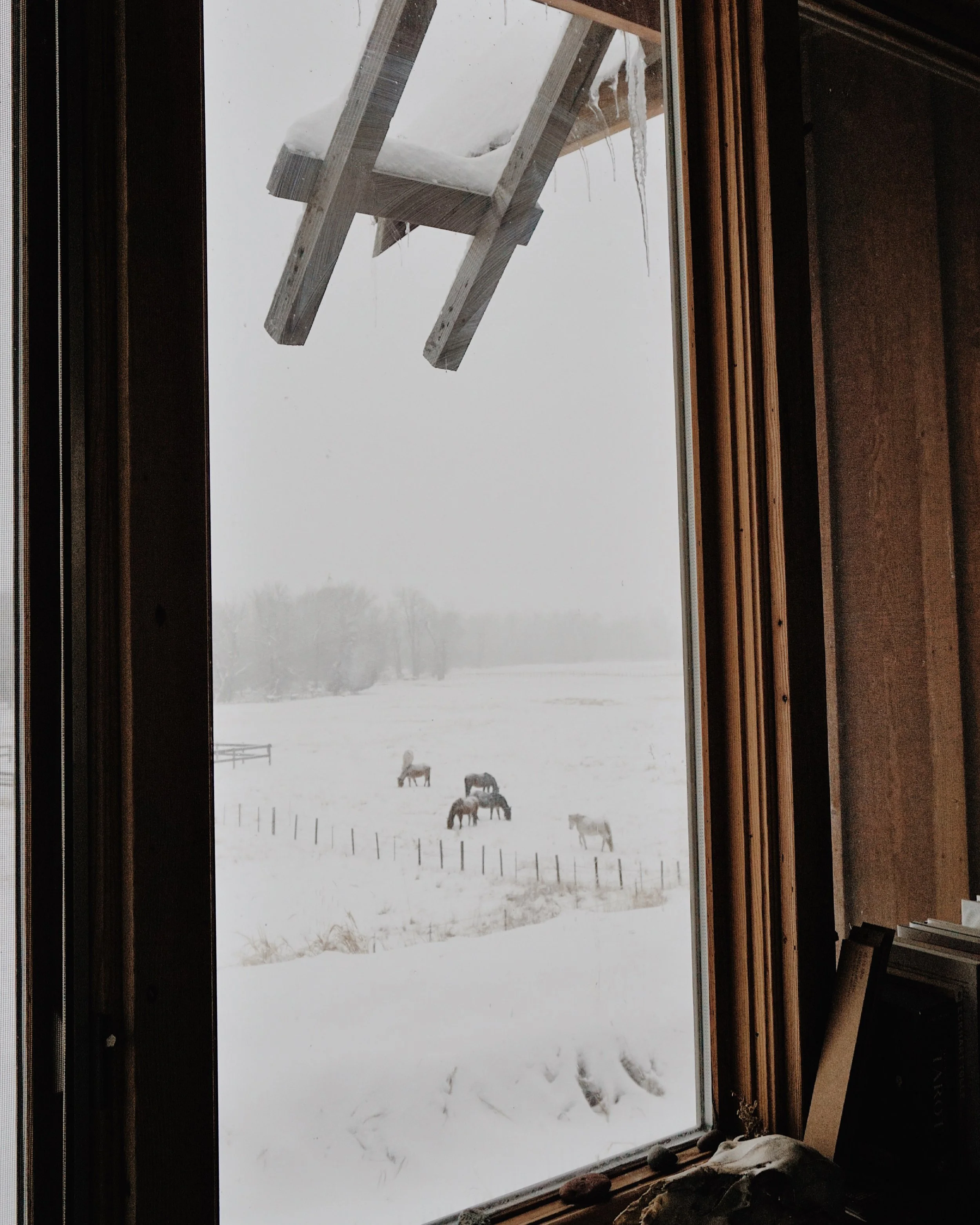 Snowy landscape seen through a window with a wooden ledge; several horses grazing in the snow in the distance. An icy ladder hangs outside from the roof.