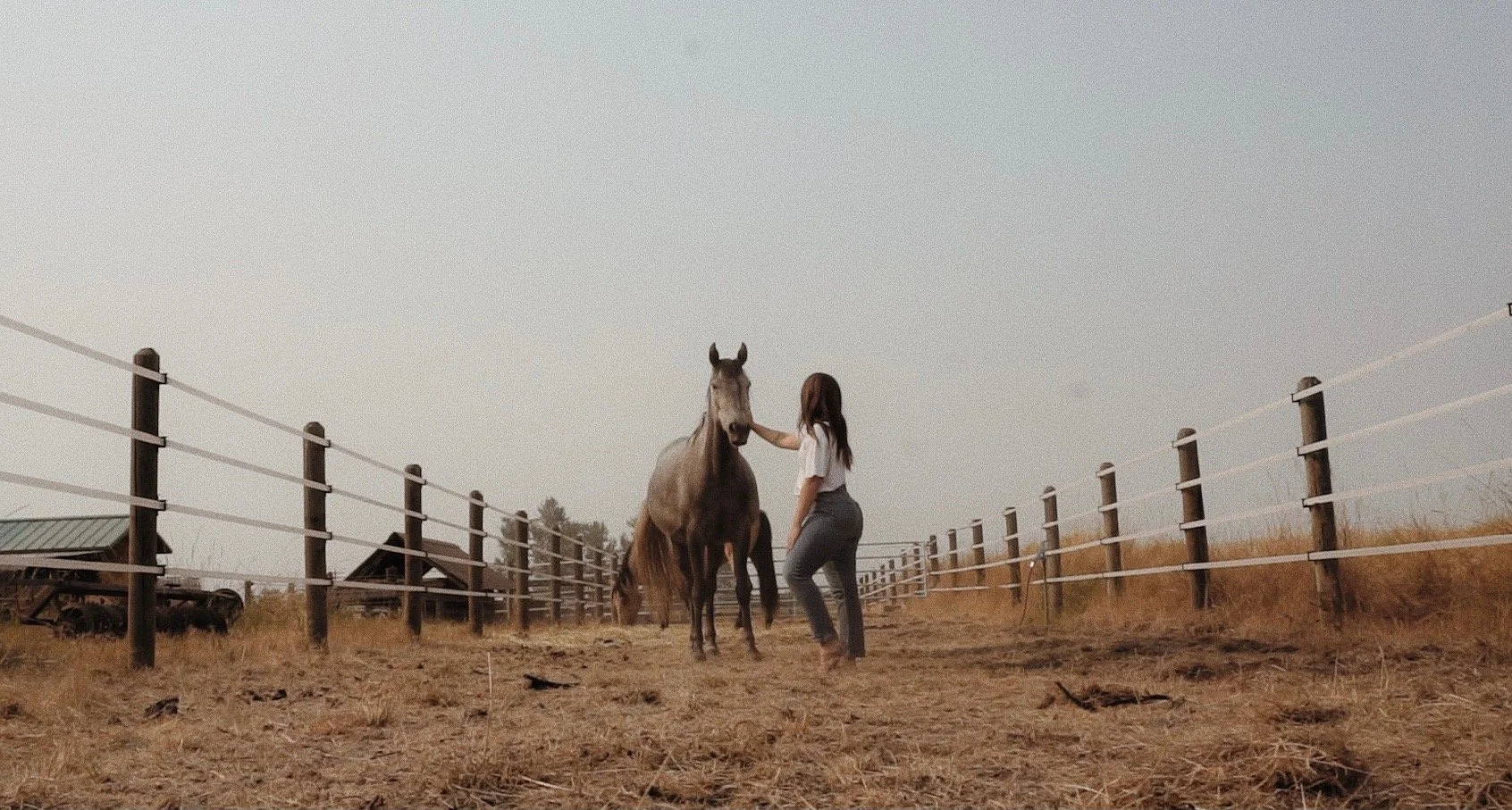 A woman petting a brown horse in a fenced outdoor area with dry grass and clear sky.