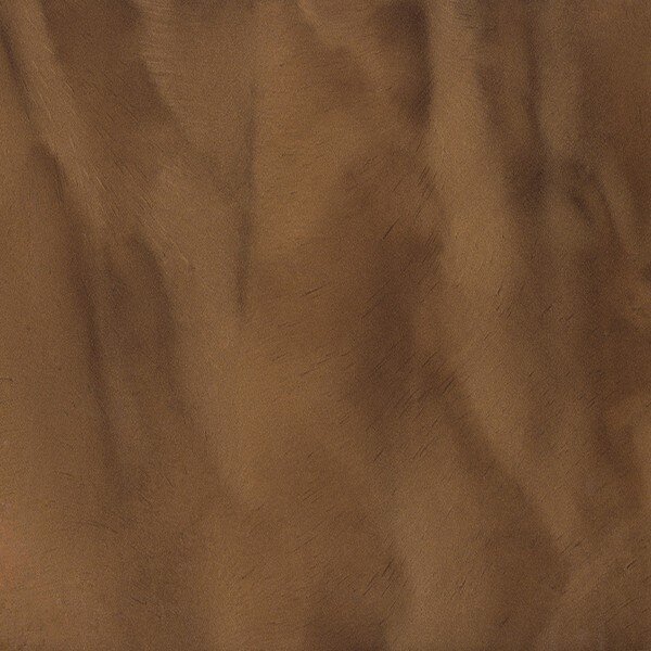 Mojave Sand