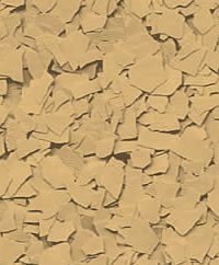 Cardboard