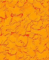 Bls Blaze Orange