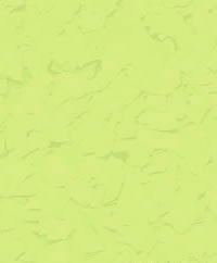 Bls Chartreuse