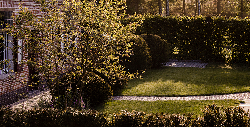 13Carterre_Herenthout_05_2023_073_1_lowres_49769cbddf02de37f0706af79da8866d.png