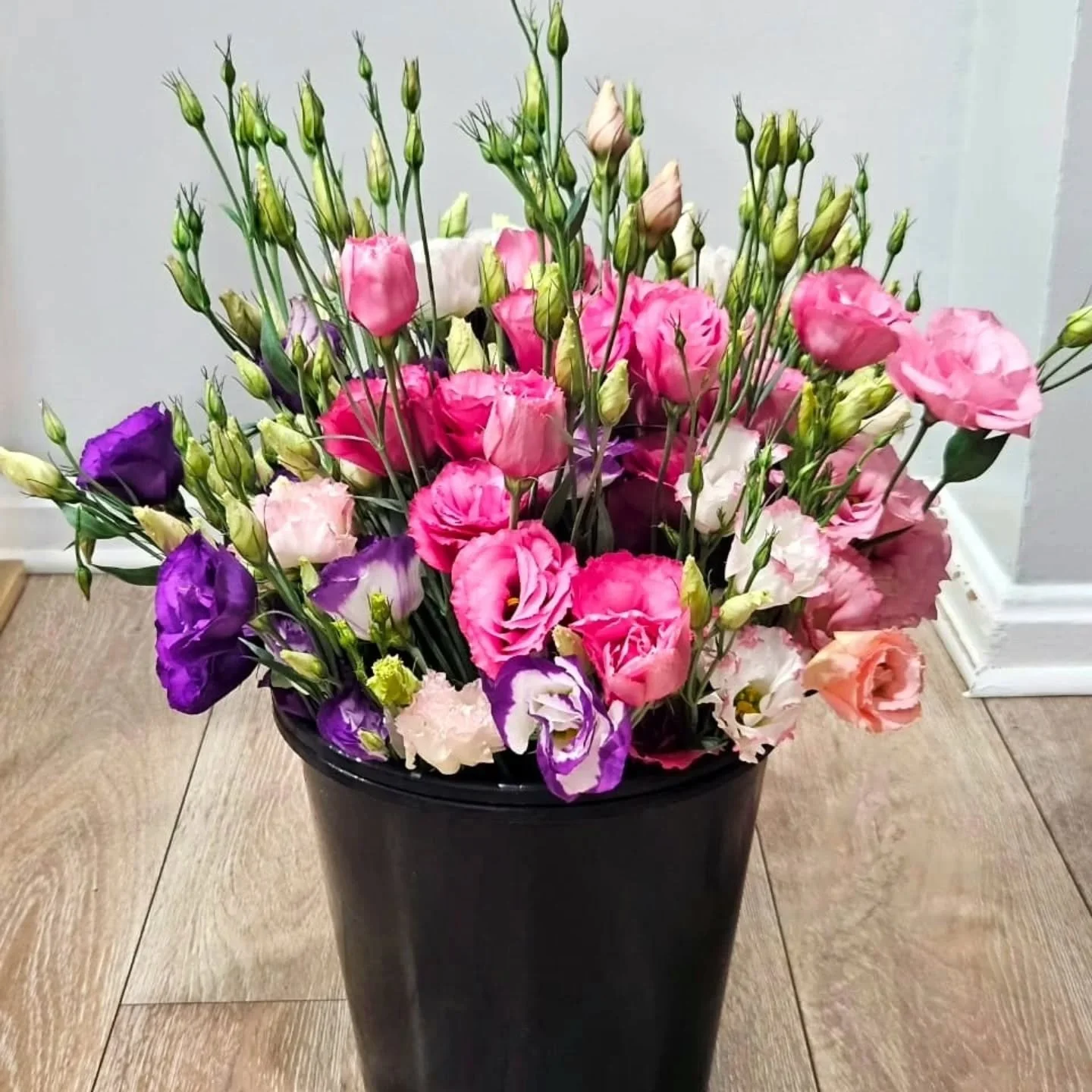 Losing myself in the world of farming and floral arrangements,where petals dance and blooms steal the show