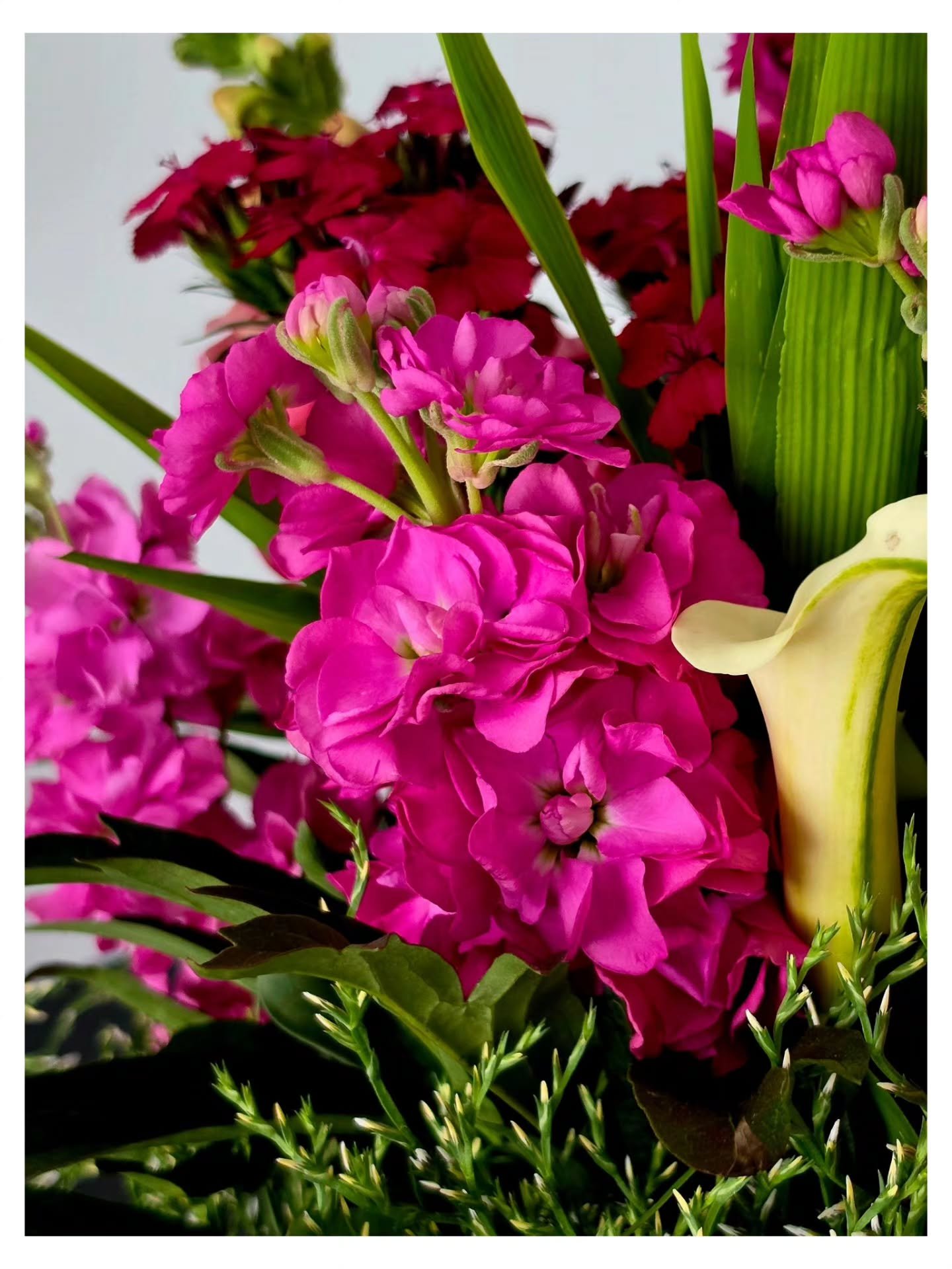Fresh cut bouquets + June 20th = the perfect summer plan. Find us @ The Family Room's Summer Market. We saved the prettiest local flowers for you!
#summermarkets #thefamilyroom #freshcutflowers  #supportlocalbusinesses❤️