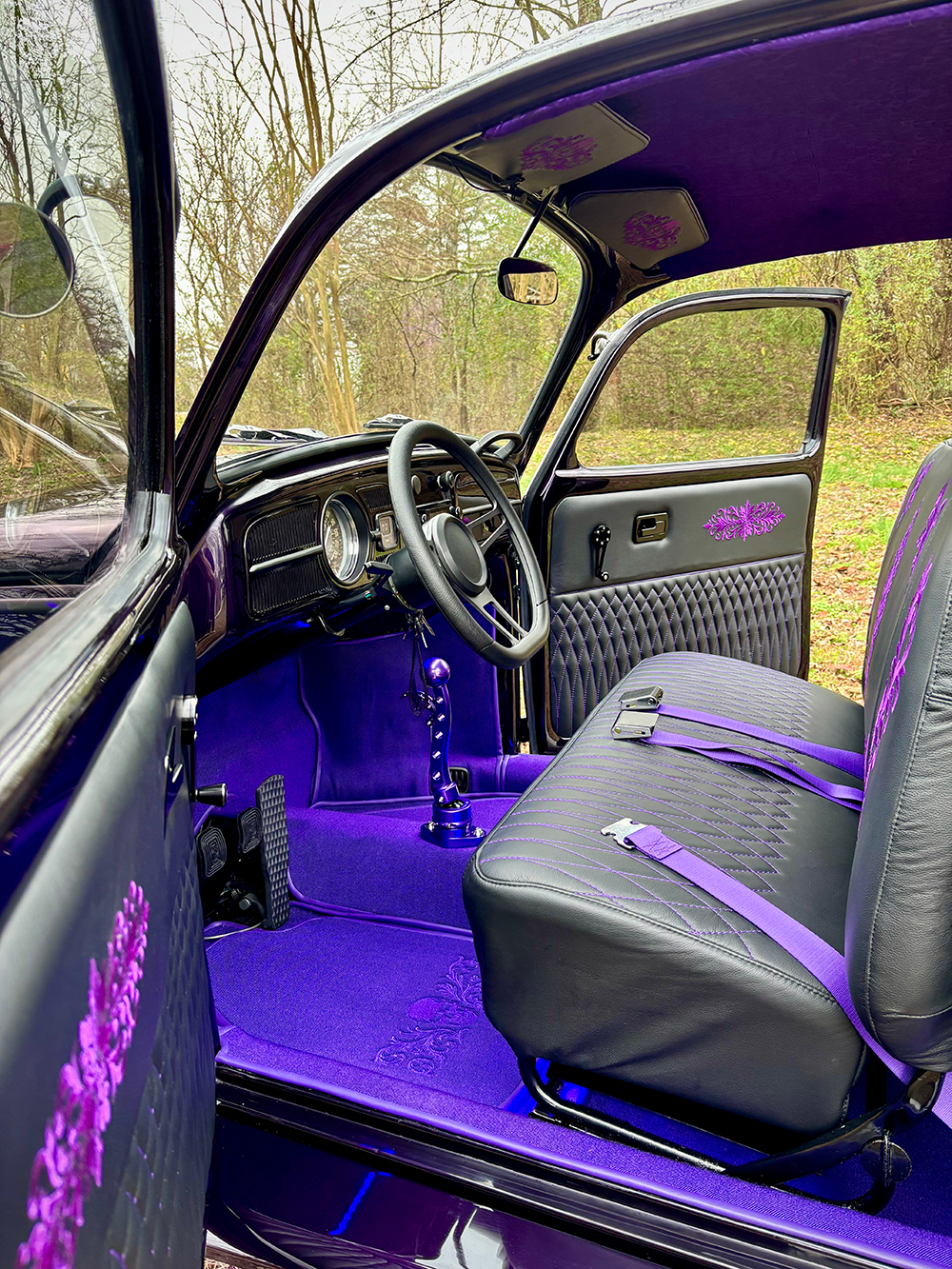 Luci interior Wide rs.png