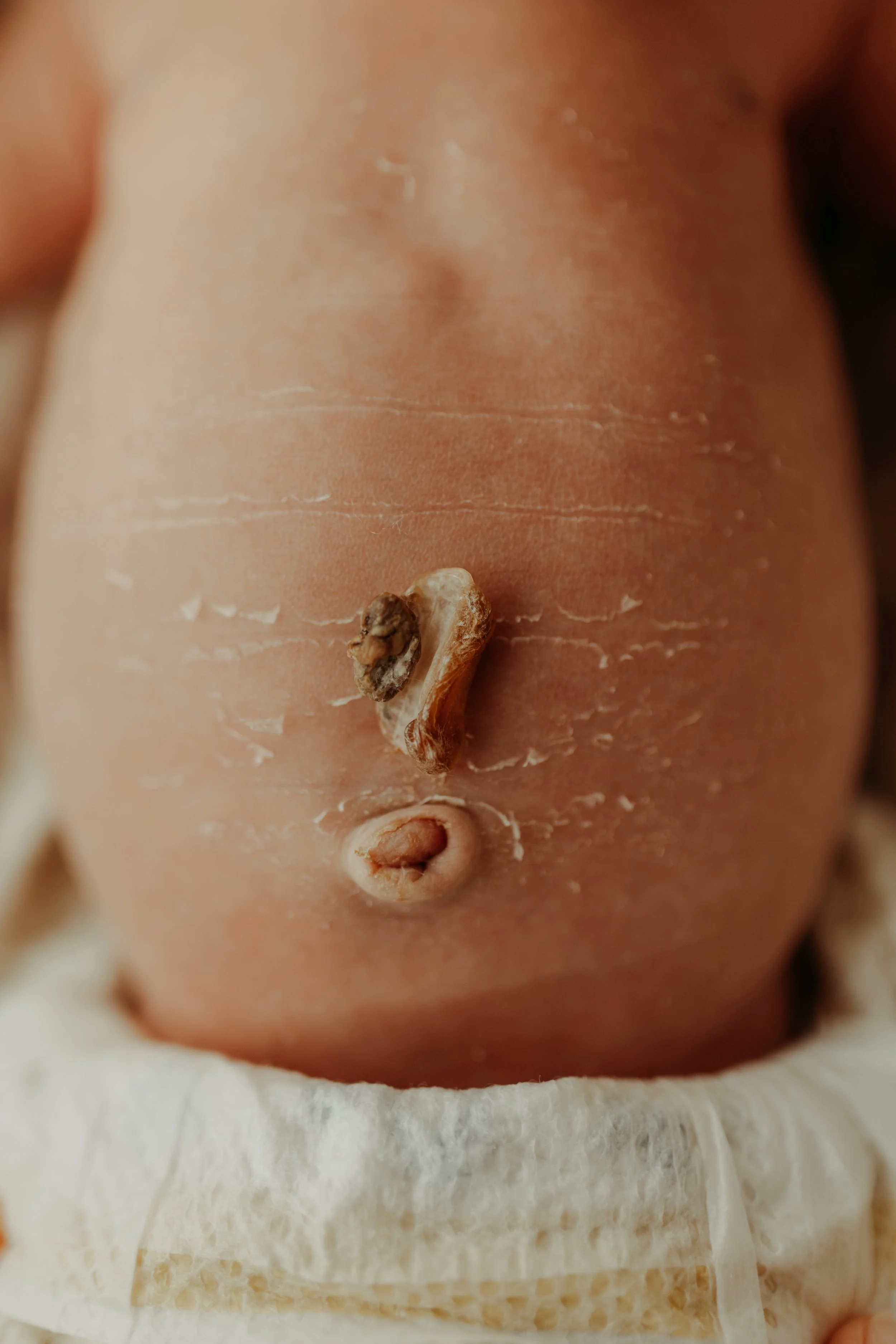 servizio fotografico neonati luce morbida studio