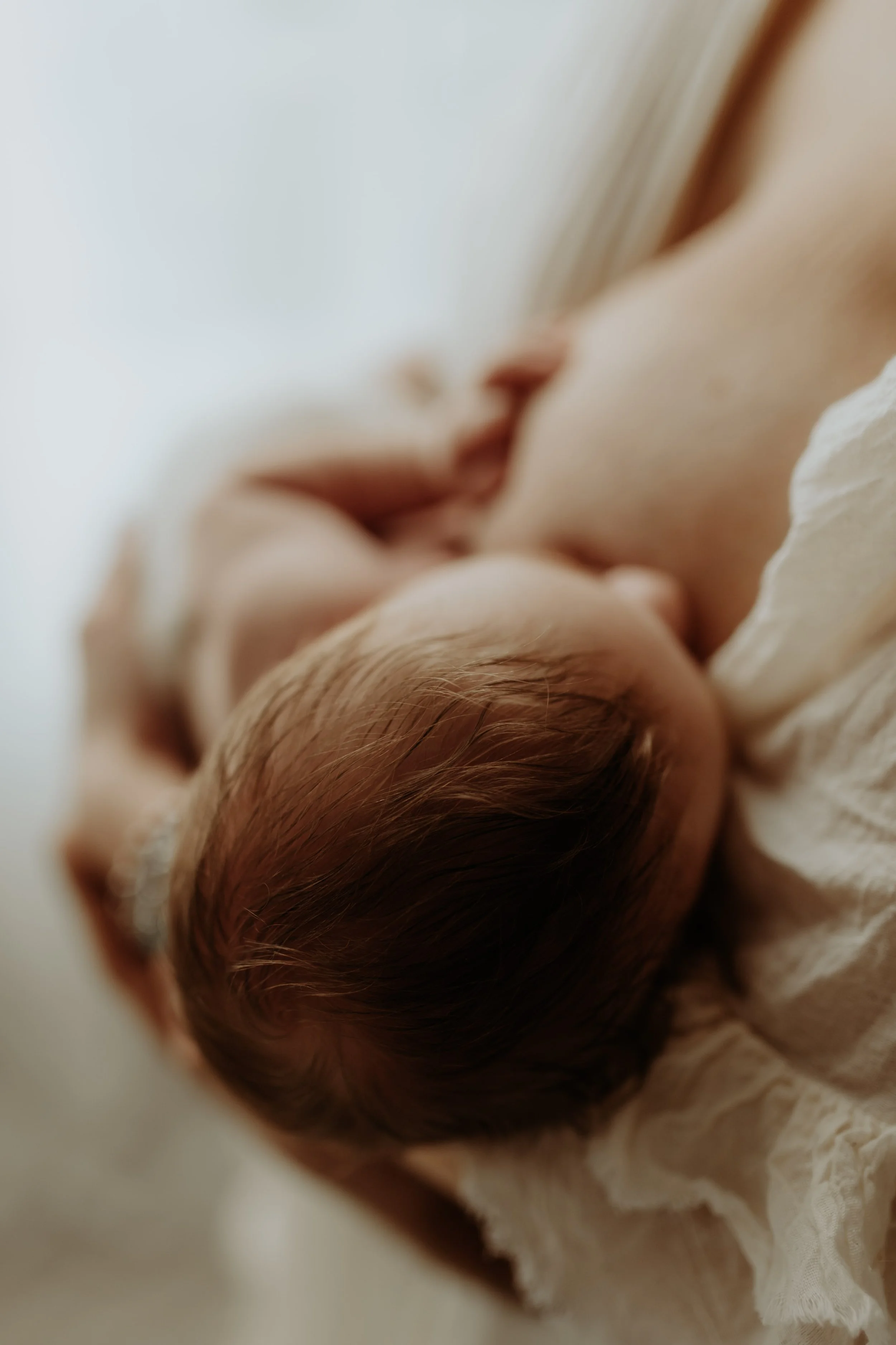 servizio fotografico neonato con luce morbida studio