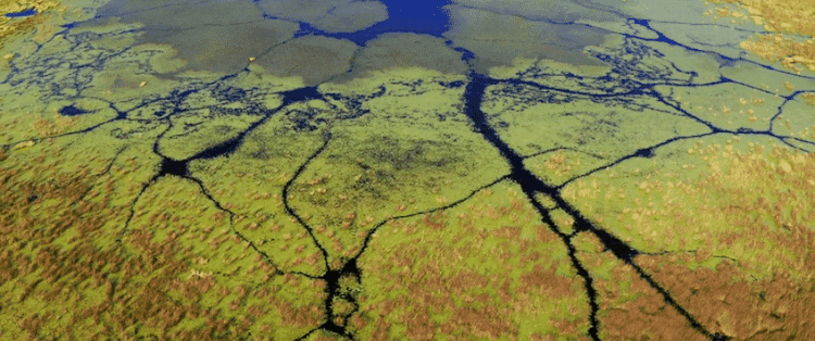 Okavango.gif