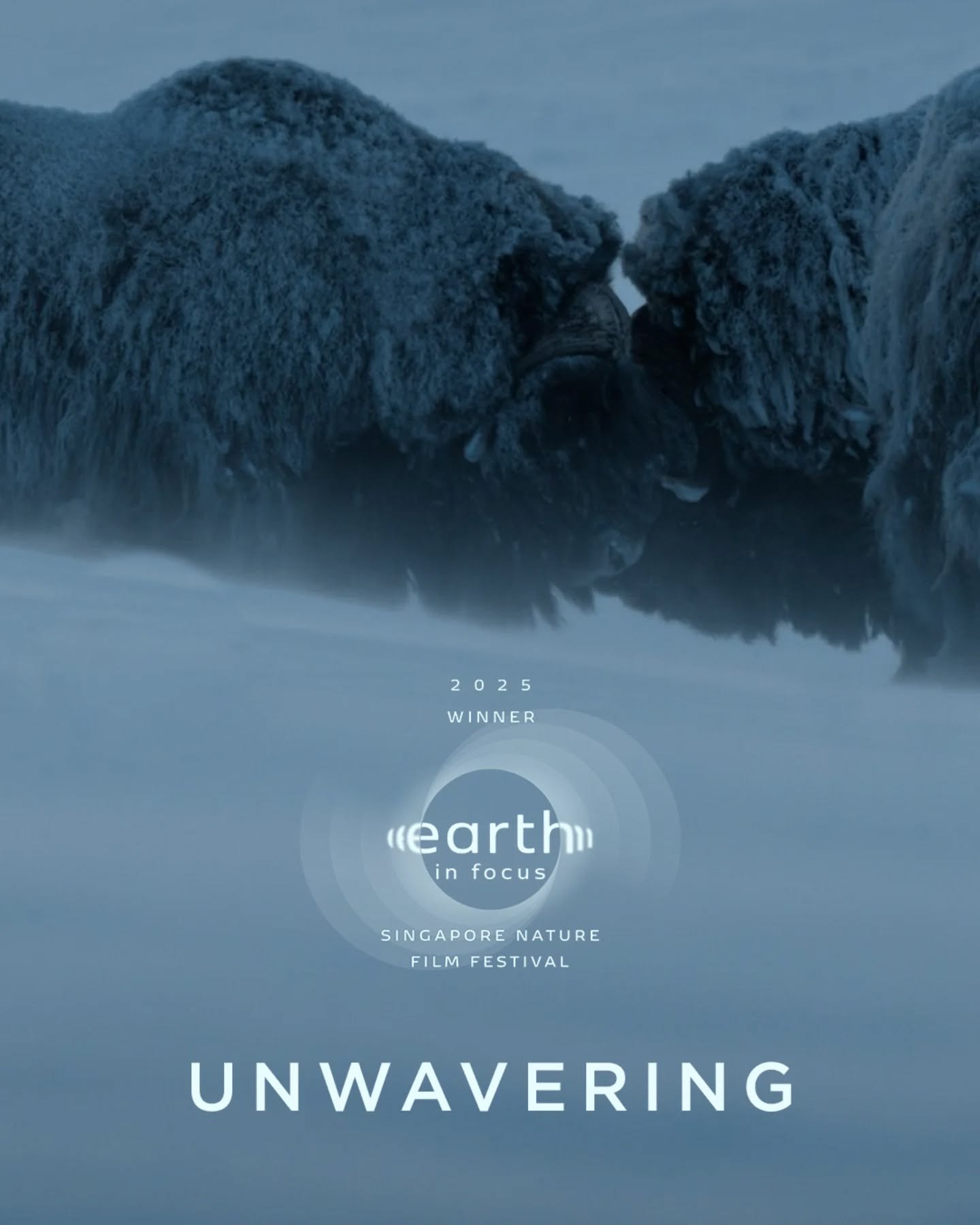 We&rsquo;re beyond thrilled to share that UNWAVERING has won Best Cinematography at the 2025 Earth In Focus Singapore Nature Film Festival @earthinfocus.co

This award is a huge honor and a beautiful reminder of why we tell stories about the natural 