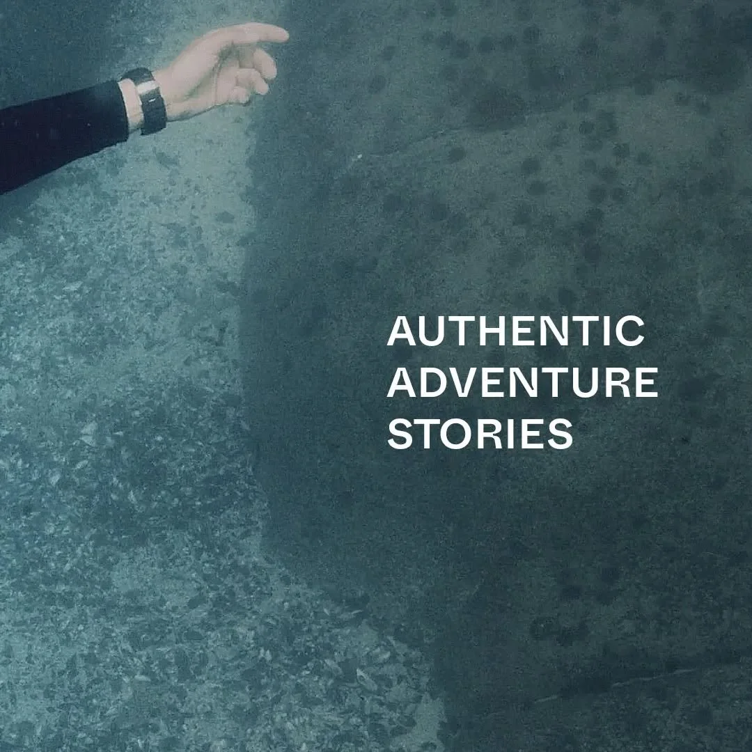 Stay Wild Studio is a full production company that focuses on creating&nbsp;story-driven&nbsp;cinematic commercials, documentaries, and branded films. Our passion lies in crafting authentic adventure stories that are characterized by strong emotions,