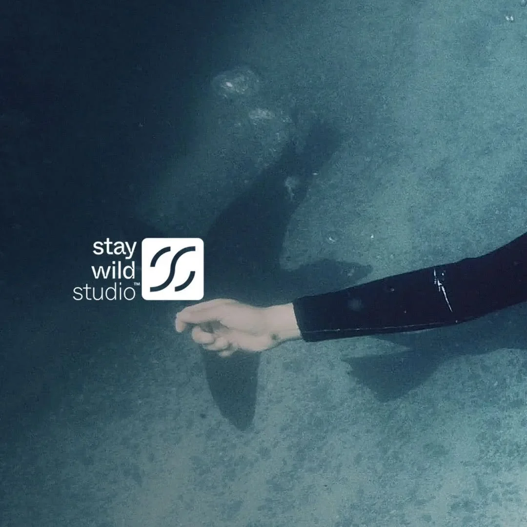 Stay Wild Studio is a full production company that focuses on creating&nbsp;story-driven&nbsp;cinematic commercials, documentaries, and branded films. Our passion lies in crafting authentic adventure stories that are characterized by strong emotions,