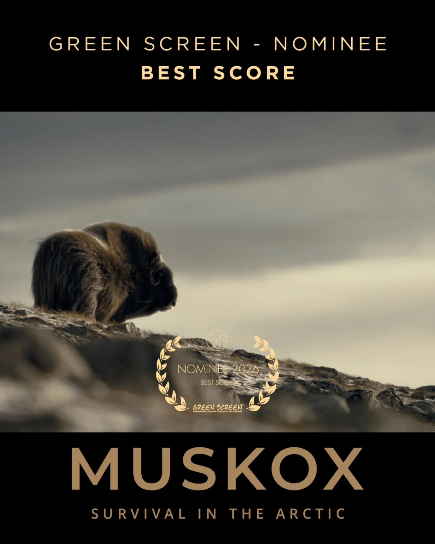 Muskox: Survival in the Arctic

Nominated at the Green Screen Festival 2026 🌿🎬

🎼 Best Score &mdash; Nominee

Composed by @christian.heschl_composer &mdash; featuring standout contributions from artists such as @teodoracello and Irlanya, the sound