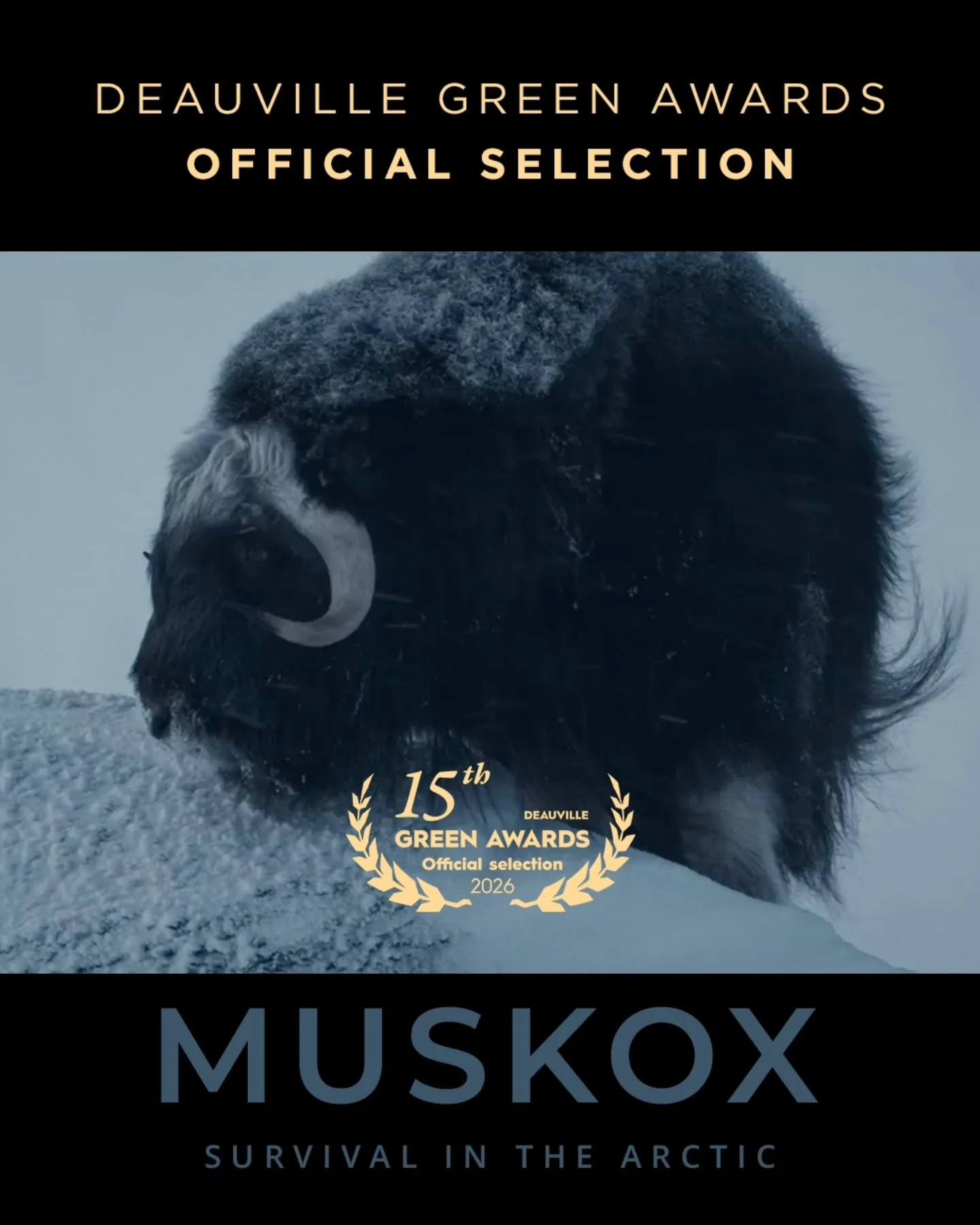 Muskox: Survival in the Arctic &mdash; Finalist at the 15th Deauville Green Awards 🌿🎬 @deauvillegreenawards

We&rsquo;re proud to share that Muskox: Survival in the Arctic has been selected as a finalist in the 15th edition of the Deauville Green A