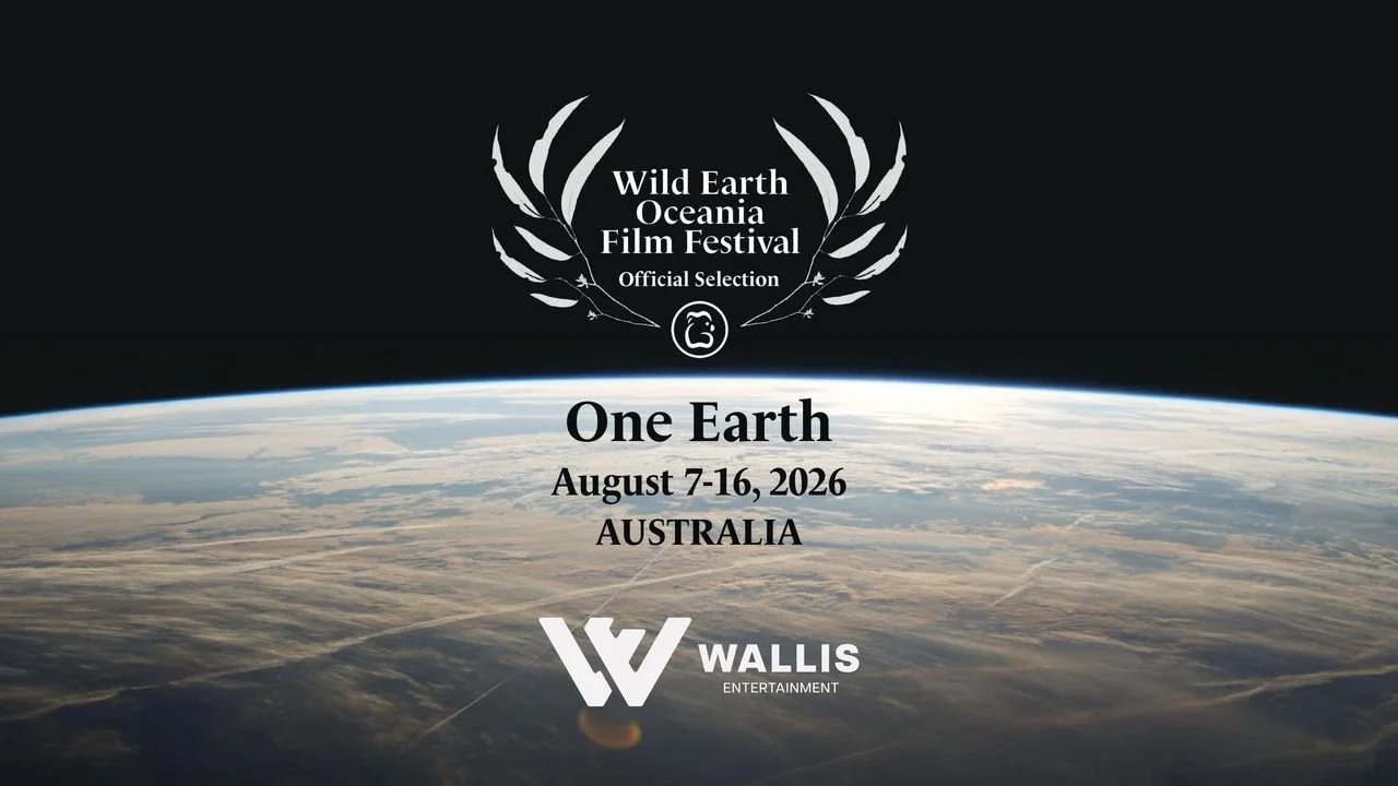 Muskox: Survival in the Arctic Joins the Official Selection of Wild Earth Oceania 2026