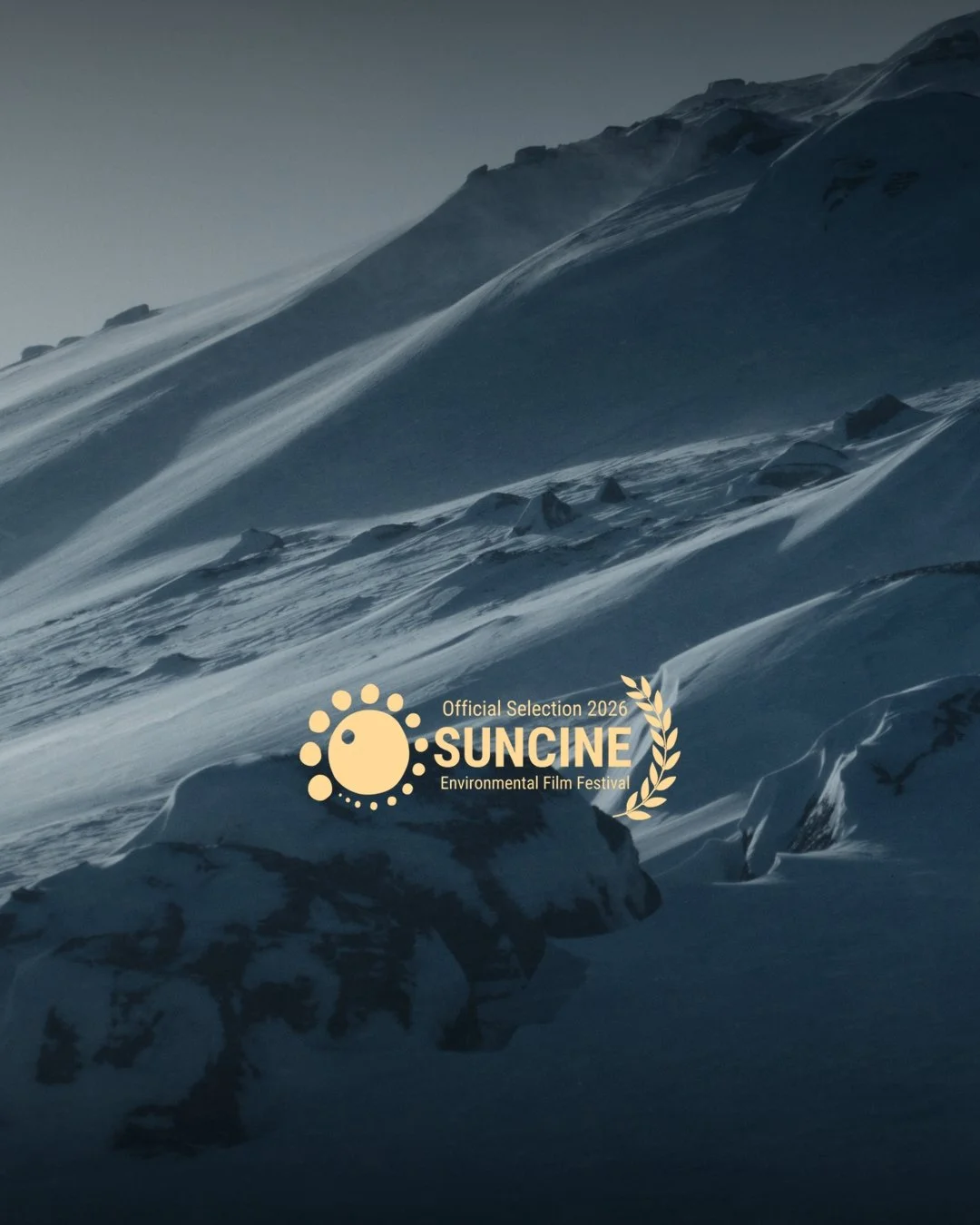 Muskox: Survival in the Arctic in Competition at SUNCINE 2026