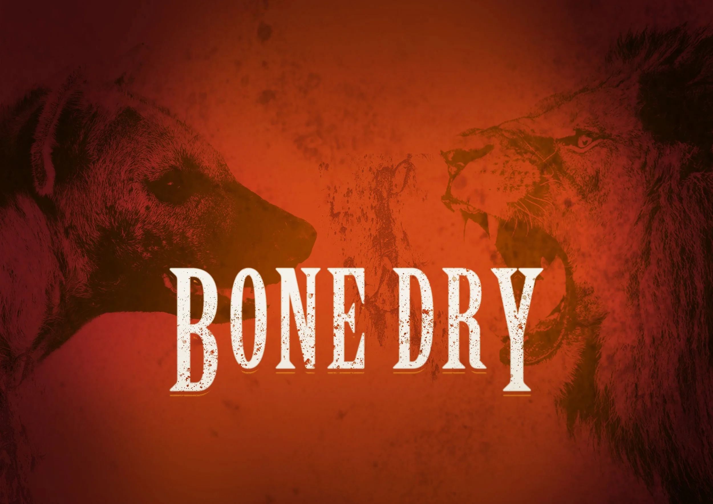 Stay Wild Studio Announces New Wildlife Documentary Bone Dry