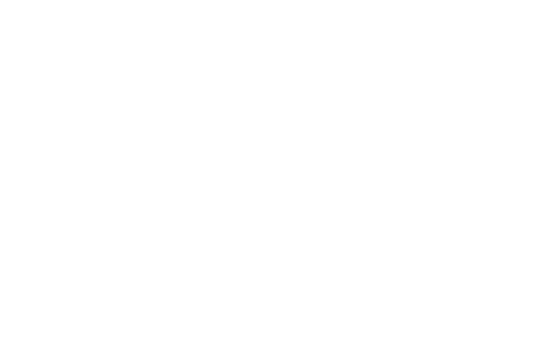 Best Score White.png