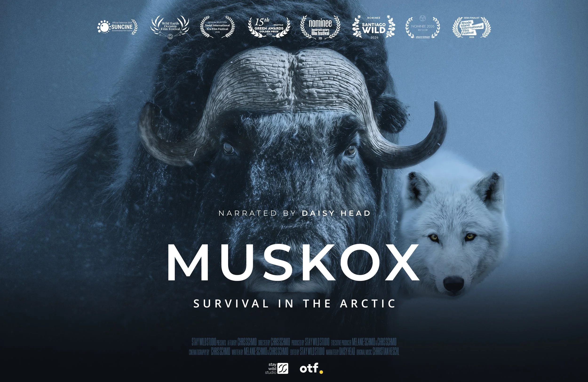Muskox: Survival in the Arctic