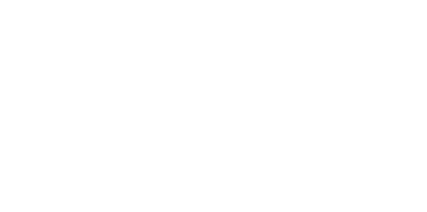 Stay Wild Studio | Moved by Nature