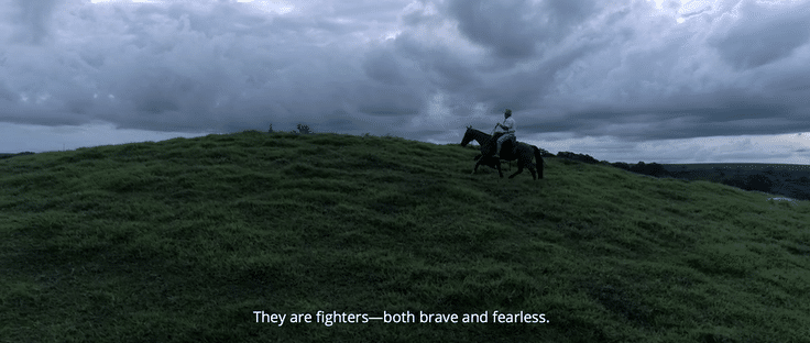 O Homem do Campo-low.gif