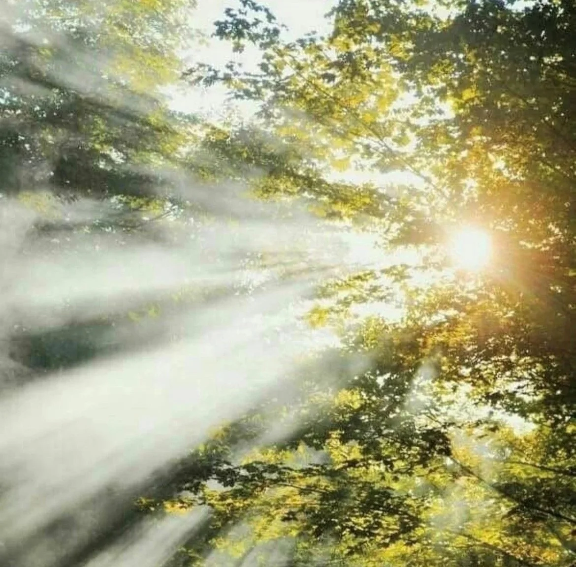 In Dark Times, What Does It Mean to Awaken?